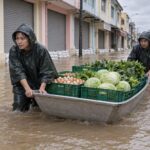 Thái Lan cho nghỉ hai ngày ở bốn địa phương vì lũ, FTI khuyến nghị nhà máy chuẩn bị tuyến giao hàng thay thế Ảnh: Minh họa tin tức