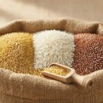 Xuất khẩu gạo từ 1/10: còn hai điều kiện, gạo đồ và gạo hữu cơ không cần giấy chứng nhận Ảnh: Minh họa tin tức