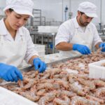 Lũ khiến tôm Thái Lan thiệt hại khoảng 17,5 tỷ baht khi Malaysia vẫn dừng nhập Ảnh: Minh họa tin tức