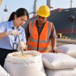 Gạo Việt Nam sang Philippines: lô 12.480 tấn bị hủy giấy phép vì lệch hồ sơ nhập khẩu Ảnh: Minh họa tin tức