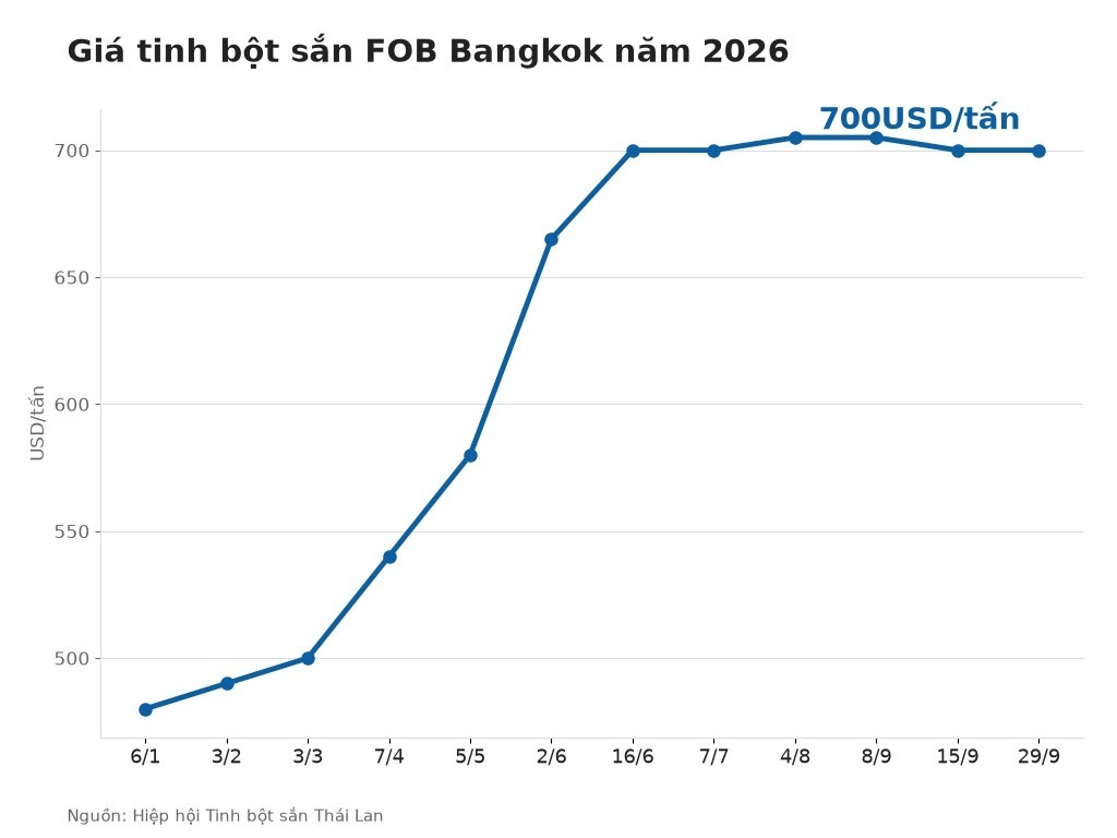 Giá tinh bột sắn FOB Bangkok năm 2026