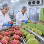 Cà phê tăng lượng 15,4% nhưng thu ít hơn 7,3% trong chín tháng xuất khẩu nông sản Ảnh: Minh họa tin tức